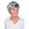 Men's graying wig
