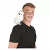 White Wizard Owl