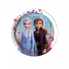 8 Small Frozen 2 Paper Plates 20 cm