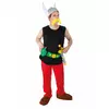Adult Asterix Costume - Asterix and Obelix, Size: Large