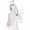 Adult white angel wings