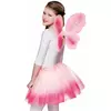 Pastel pink butterfly wings and tutu for girls