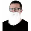 Adult white hipster beard