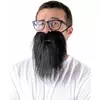 Adult black hipster beard