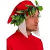 Voksen Dantes hodeplagg