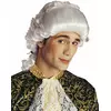 Adult baroque wig