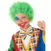 Green children's clown wig