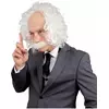 Einstein wig for men