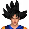 Adult Dragon Ball Goku Wig