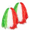 Pompon supporter Italy