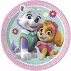 8 små papirtallerkener Paw Patrol Skye og Everest 20 cm