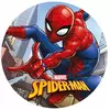 Spiderman 20 cm kjeksplate