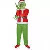 Adult Grumpy Green Monster Costume, Size: Medium/Large