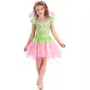 Green and pink fairy costume for girls, Size: 3-4 years (92-104 cm)
