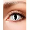 Cat eye fancy linser 3 måneder voksen