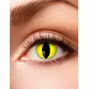 Gule Reptile Eye Fancy kontaktlinser for voksne