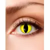 Snake Eye fancy linser 3 måneder voksen