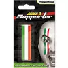 Adult Italy supporter makeup