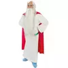 Adult Panoramix Druid Costume - Asterix and Obelix, Size: Medium