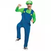 Klassisk Luigi-kostyme for voksne, Størrelse: Medium