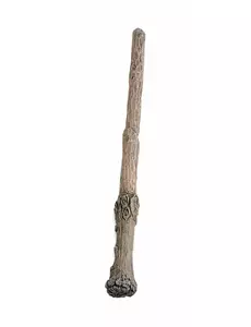 Harry Potter trollmannstav