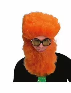 Voksen irsk skjegg