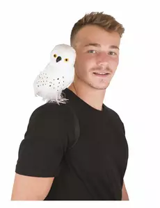 Hvit trollmannsugle