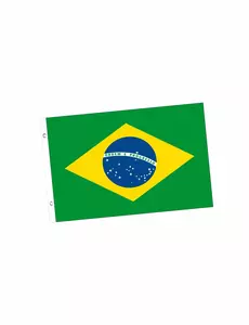 Brasil supporterflagg 150 x 90 cm