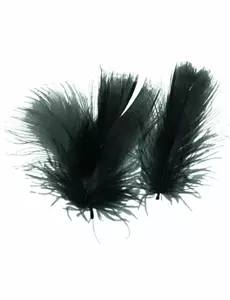 Svarte fjær