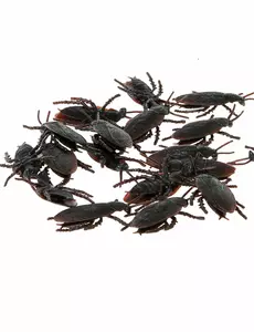 12 svarte kakerlakker 6 cm Halloween