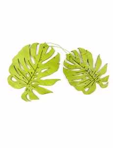 2 grønne tropiske treblader 11 cm