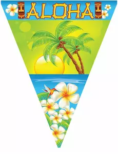 Aloha vimpelgirlander 5 m