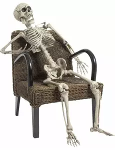 160 cm Halloween-skjelett å posere