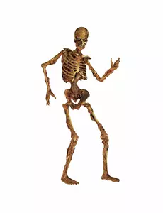 Artikulert nedbrytende skjelettdekorasjon 180 cm