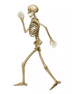 Beige Halloween vandrende skjelettdekorasjon 94 cm