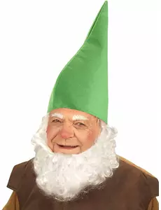 Voksen grønn dverghatt