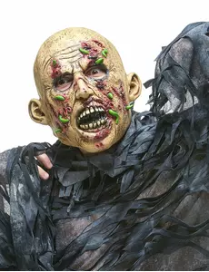 Voksen råtten zombie lateksmaske
