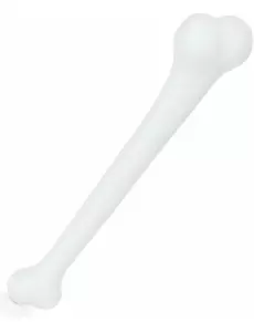 Plastbein