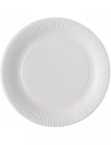 100 White Paper Plates 23 cm
