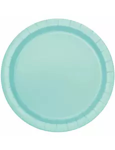 16 Mint Paper Plates 22 cm