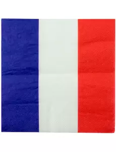 20 franske papirservietter 33 x 33 cm