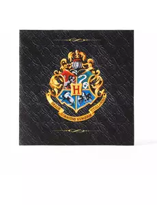 20 Harry Potter papirservietter 33 x 33 cm