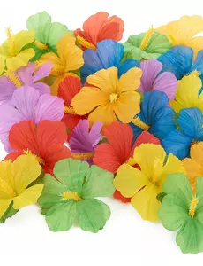 24 hawaiiske blomster