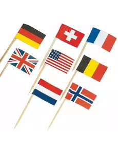 30 miniflaggvalg fra land i verden
