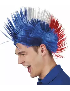Punk parykk Frankrike