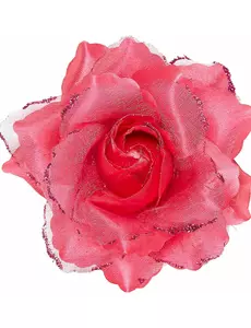 Fuchsia rosa for damehår