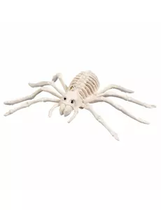 Skjelett-edderkopp 35 cm