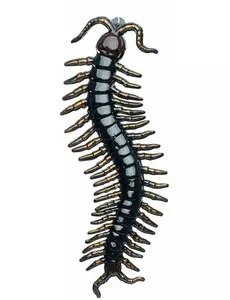 Svart hengende tusenbein 90 cm