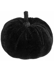 Svart fløyelsgresskar 7 cm