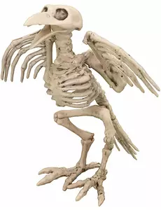 19,5 cm Halloween-kråkeskjelettdekorasjon